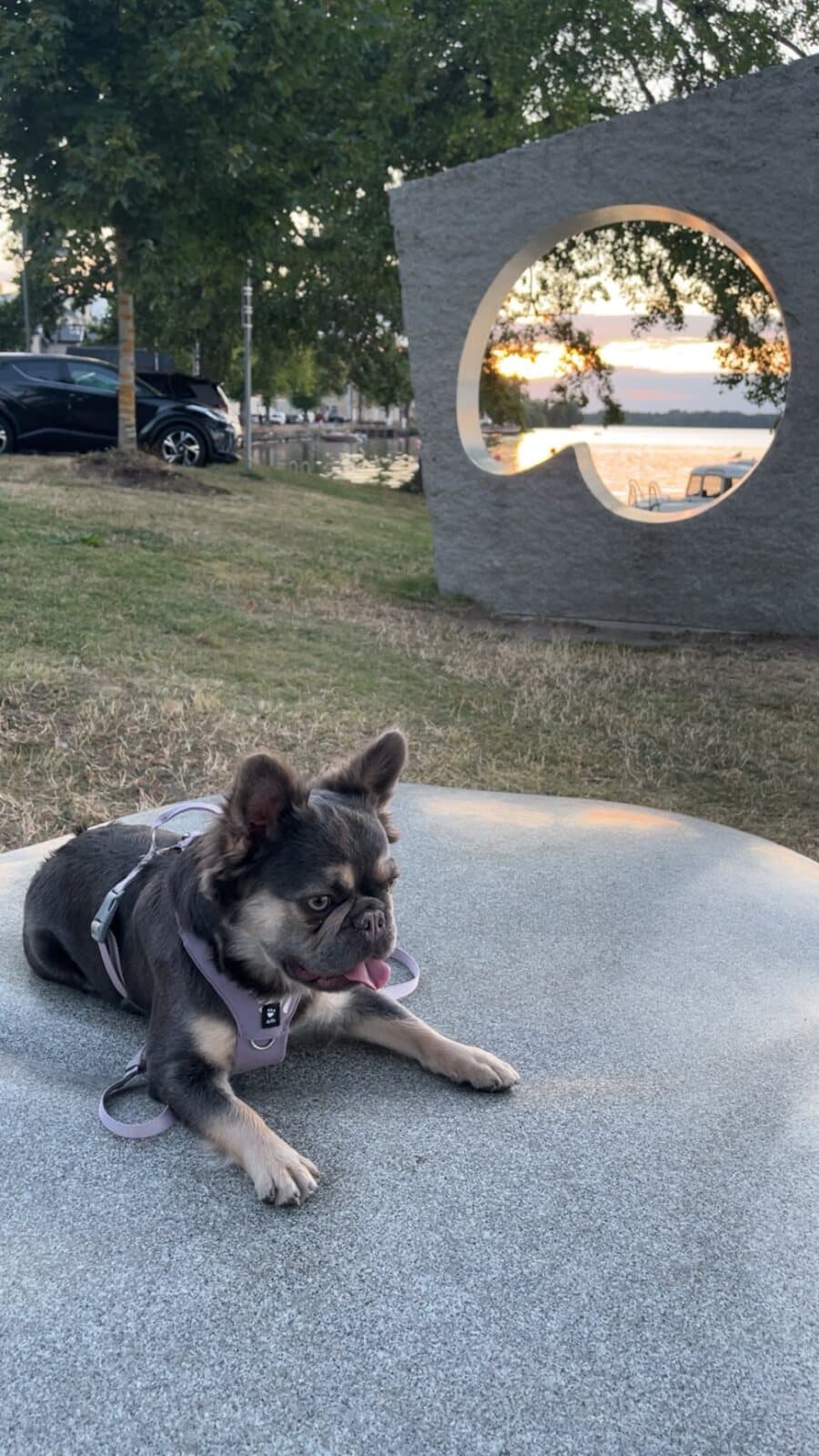 Kiwi