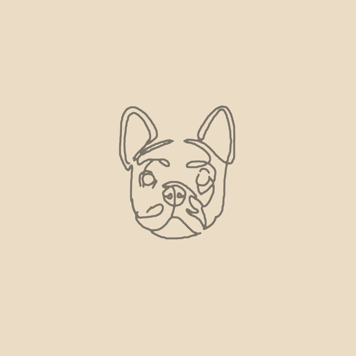 Floodle French Bulldog puppies