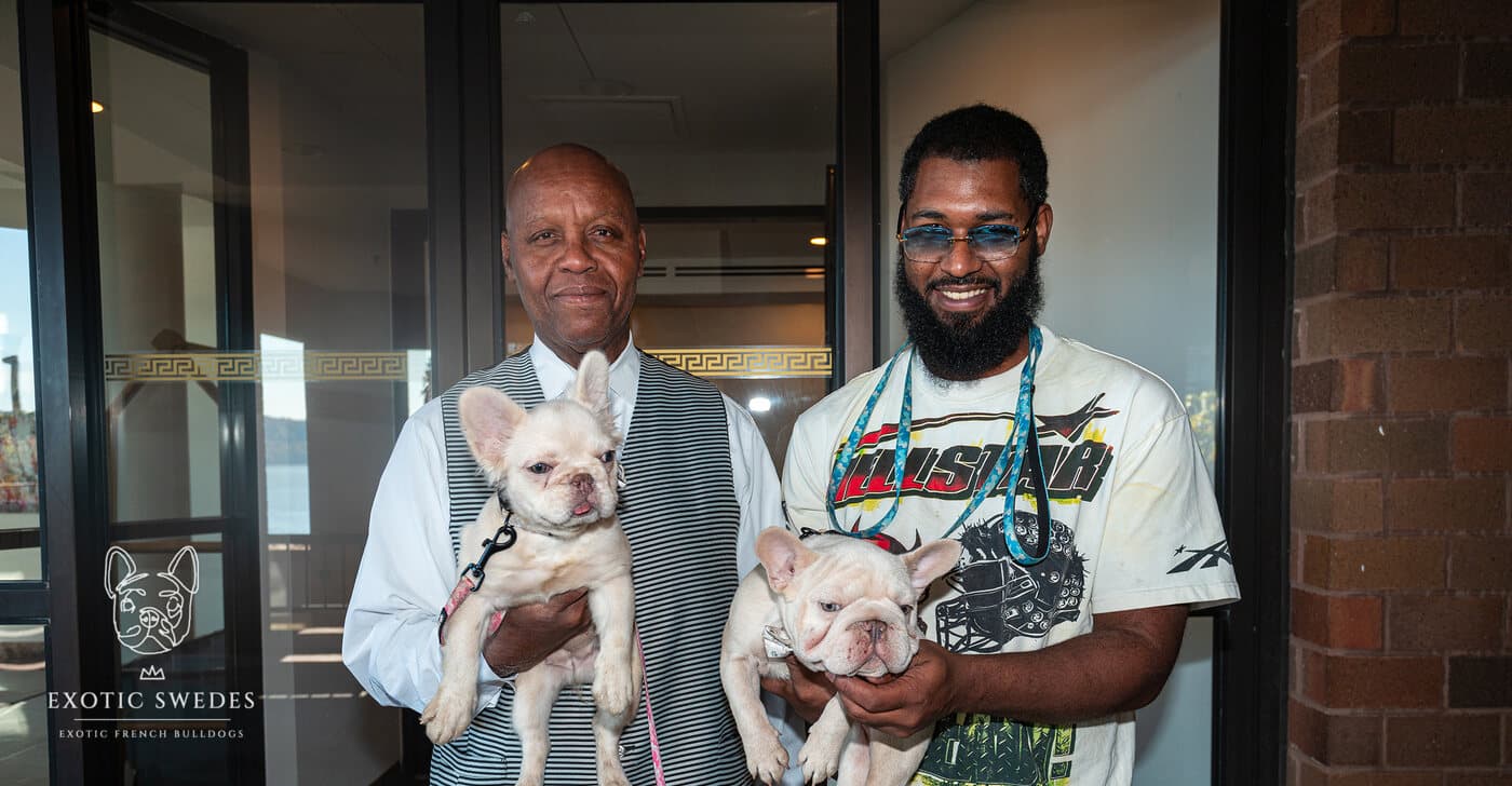 Buttercup Baby and Joy Boy with their new family in New York